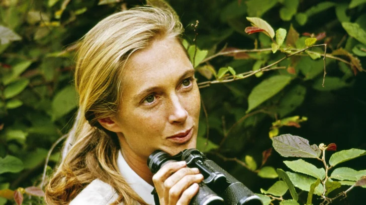 Muere Jane Goodall, la mujer que cambió nuestra comprensión de los chimpancés y de nosotros mismos