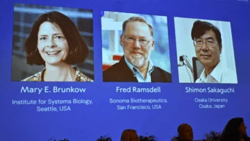 Qué son las células T, las 'guardias de seguridad' del sistema inmunológico cuyo descubrimiento fue premiado con el Nobel de Medicina 2025 Qué son las células T, las 'guardias de seguridad' del sistema inmunológico cuyo descubrimiento fue premiado con el Nobel de Medicina 2025