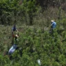 ¿Cuál es el impacto real de los ataques de EE. UU. en el narcotráfico colombiano?