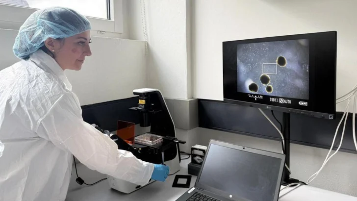 Los minicerebros humanos desarrollados por científicos para 'alimentar' computadoras