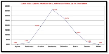  La región Enriquillo sufrió una caída del 45% en la cosecha promedio de café. (Archivos del autor).