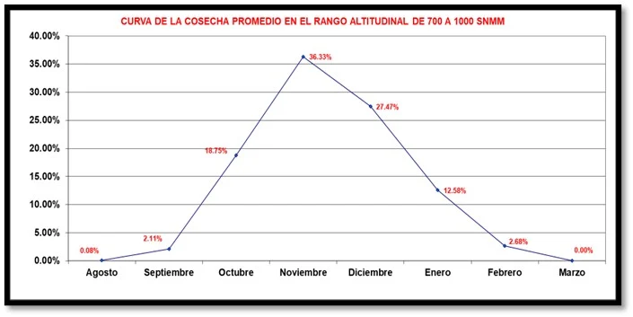  La región Enriquillo sufrió una caída del 45% en la cosecha promedio de café. (Archivos del autor).