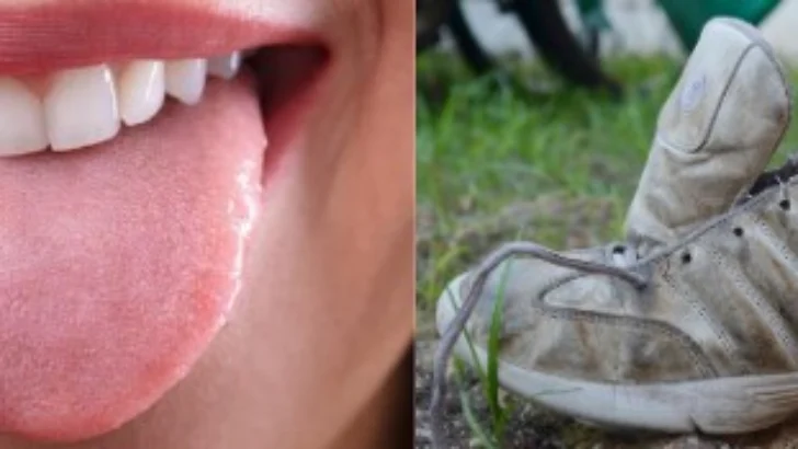 Del constructus metafórico lengua y otros objetos Del constructus metafórico lengua y otros objetos
