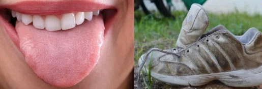 Del constructus metafórico lengua y otros objetos
