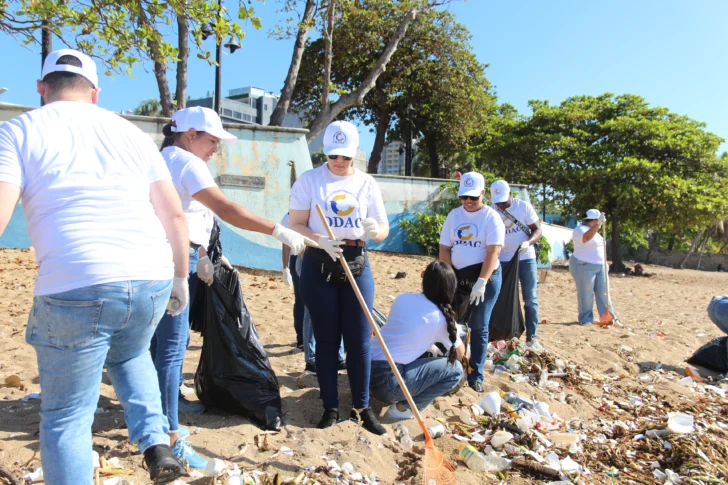 ODAC recolecta más de mil libras de desechos en jornada de limpieza en playa Güibia ODAC recolecta más de mil libras de desechos en jornada de limpieza en playa Güibia