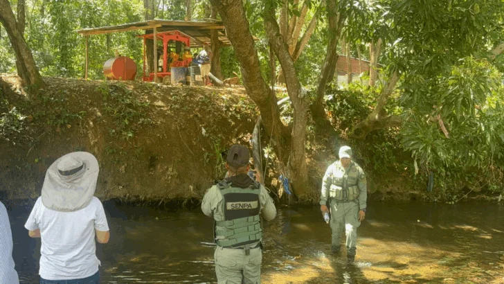 Investigan muerte de peces en ríos Matua e Higüero por supuesta contaminación de campo golf