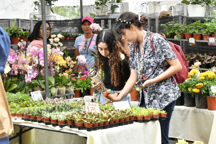 Anuncian el decimonoveno Festival Nacional de Plantas y Flores