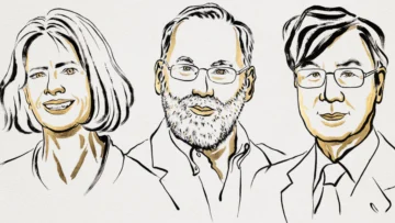 Brunkow, Ramsdell y Sakaguchi ganan el Nobel de Medicina por investigar el sistema inmunológico Brunkow, Ramsdell y Sakaguchi ganan el Nobel de Medicina por investigar el sistema inmunológico