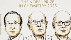 Tres galardonados con el Nobel de Química por investigaciones de nuevas estructuras moleculares