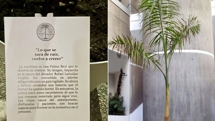 Renuncia a su Mención de Honor de la Bienal Nacional de Artes Visuales Dominicana