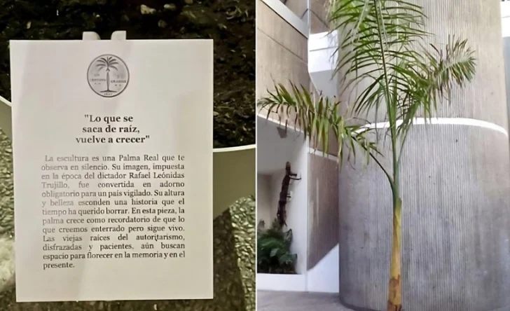 Renuncia a su Mención de Honor de la Bienal Nacional de Artes Visuales Dominicana