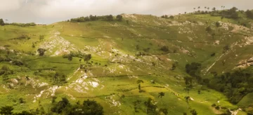  Los cabezales de piedras de la roca madre se muestra en la superficie de los terrenos en la comunidad de Sabambobé, al otro lado de la frontera, en 2007. Foto del autor.
