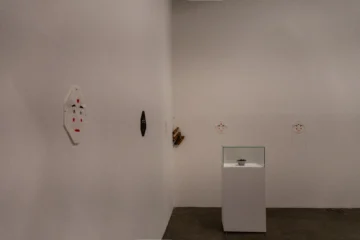  Obra Dismemberment de Sara Sejin Chang.