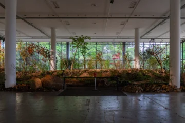  Obra Sun of Consciousness de Precious Okoyomon.