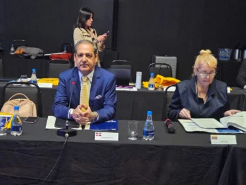 Intervención del Viceministro de Identidad Cultural y Ciudadanía de la República Dominicana, 37.ª Reunión Ordinaria del Consejo Ministerial Iberoamericano
