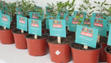 Rehabilitación aportó 1,7 millones servicios en 2024; celebra 62 aniversario