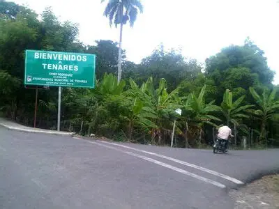Tenares de los mejores con teneres para robar