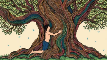 Árboles abrazados Árboles abrazados