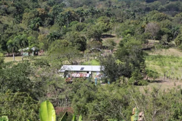 Medio Ambiente y PPS-PNUD abren convocatoria para proyectos comunitarios ambientales