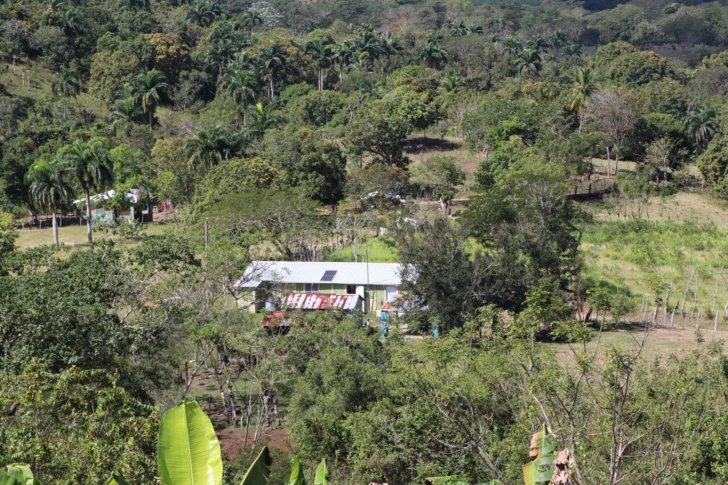 Medio Ambiente y PPS-PNUD abren convocatoria para proyectos comunitarios ambientales