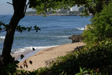 Apordom realiza una jornada de limpieza en la Playa de las Tortugas Apordom realiza una jornada de limpieza en la Playa de las Tortugas