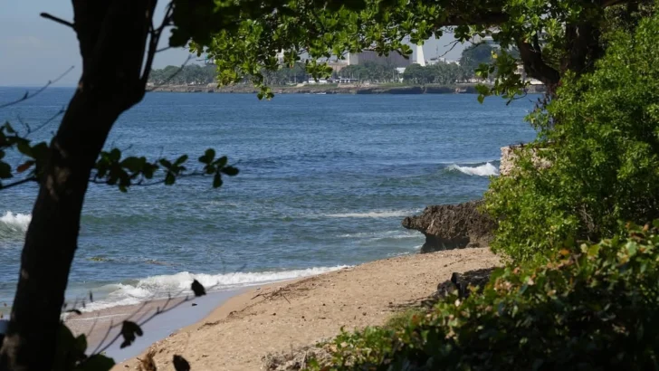 Apordom realiza una jornada de limpieza en la Playa de las Tortugas