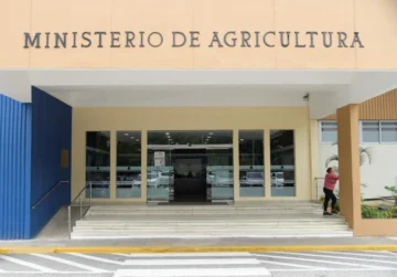 Agricultura activa plan de contingencia agropecuario ante posibles efectos de Melissa Agricultura activa plan de contingencia agropecuario ante posibles efectos de Melissa