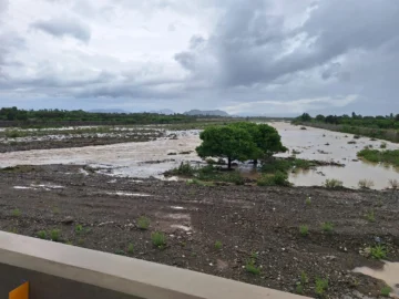 Pocos daños en zonas productivas del sur se reportan por impacto inicial de Melissa Pocos daños en zonas productivas del sur se reportan por impacto inicial de Melissa