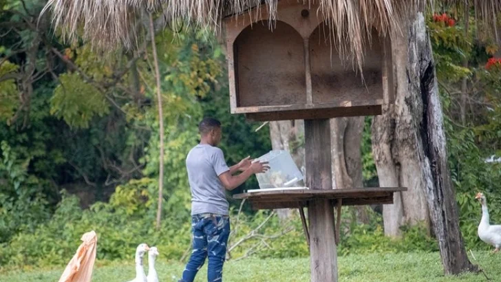 Coordinan el traslado de especies exóticas ilegales de Puerto Rico a República Dominicana