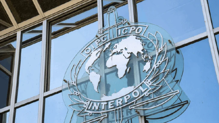 Una operación de Interpol por delitos ambientales en 9 países de América con 225 arrestos Una operación de Interpol por delitos ambientales en 9 países de América con 225 arrestos