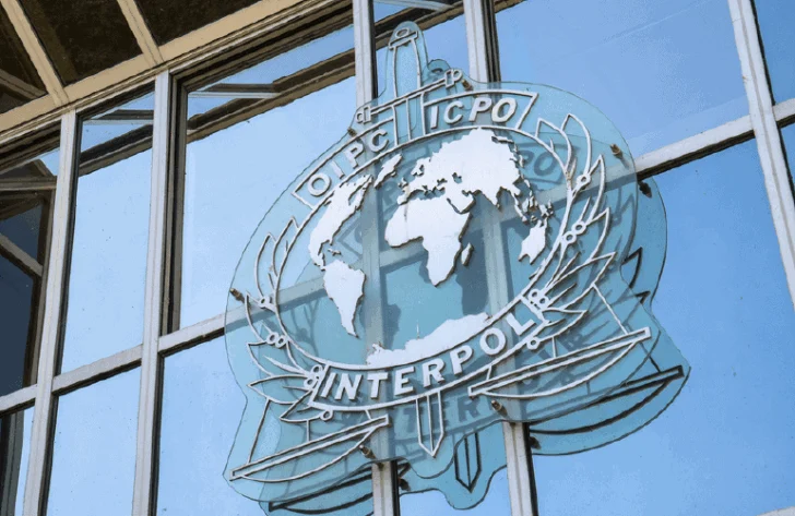 Una operación de Interpol por delitos ambientales en 9 países de América con 225 arrestos