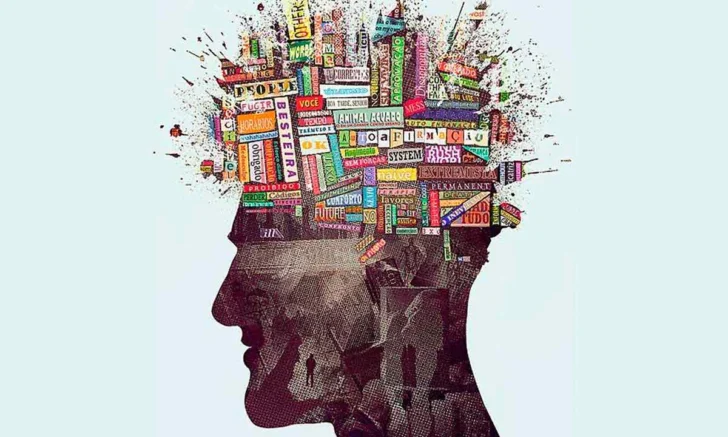 ¿Qué no aporta la literatura?