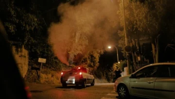 Una epidemia de chikunguña desborda a Cuba Una epidemia de chikunguña desborda a Cuba