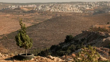 Jóvenes colonos multiplican los actos violentos contra palestinos en Cisjordania Jóvenes colonos multiplican los actos violentos contra palestinos en Cisjordania