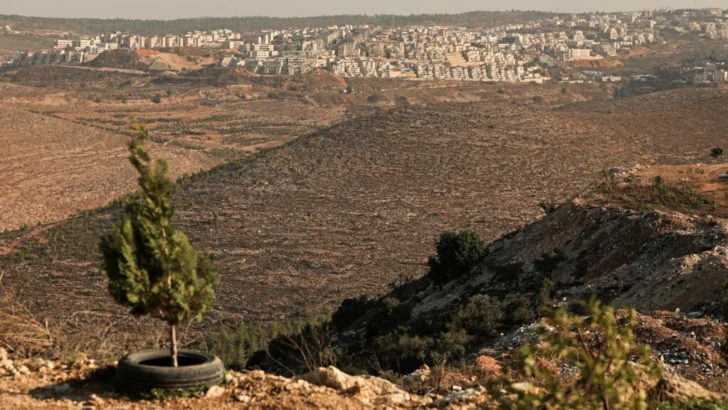Jóvenes colonos multiplican los actos violentos contra palestinos en Cisjordania