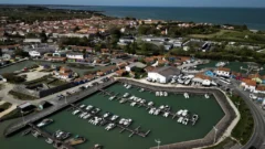 Francia: un hombre atropella a peatones y deja 10 heridos