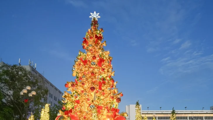 Banco Central celebra su tradicional encendido del Belén y del árbol navideño