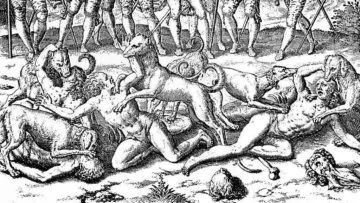 La historia de los aperreadores españoles que usaron jaurías para dominar a los incas en Perú La historia de los aperreadores españoles que usaron jaurías para dominar a los incas en Perú