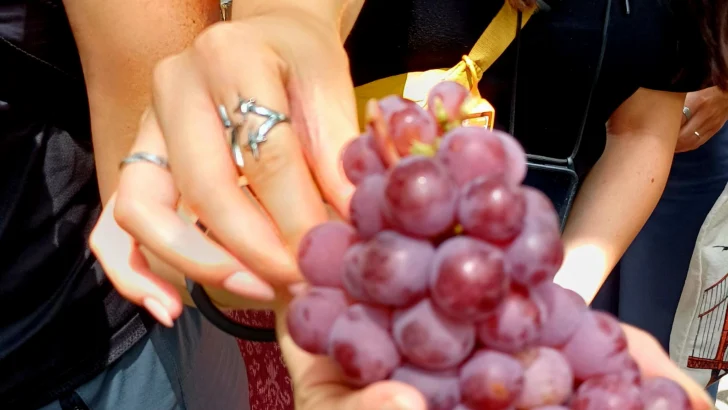 Los atractivos turísticos y culturales de Neiba, Bahoruco Los atractivos turísticos y culturales de Neiba, Bahoruco