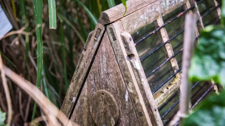 Qué son las ingeniosas cajas de Ward y cómo transformaron la economía mundial