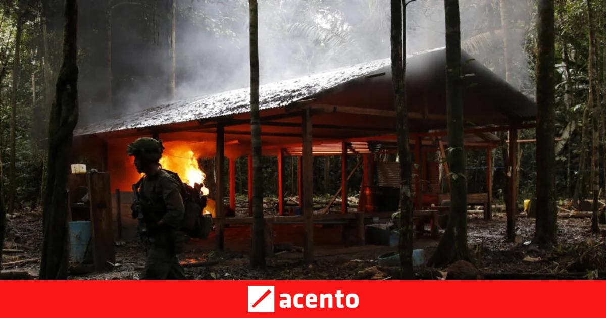 Colombia: confirman la muerte de siete menores en bombardeo a ...