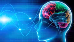 Atentados del 13 de noviembre: 