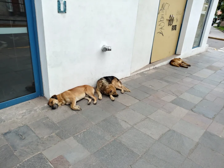 Crónica de viajes por Colombia. En Medellín, rumbo a Cartagena de Indias