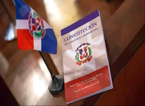 La Constitución, las leyes y el Estado de Derecho en la República Dominicana La Constitución, las leyes y el Estado de Derecho en la República Dominicana
