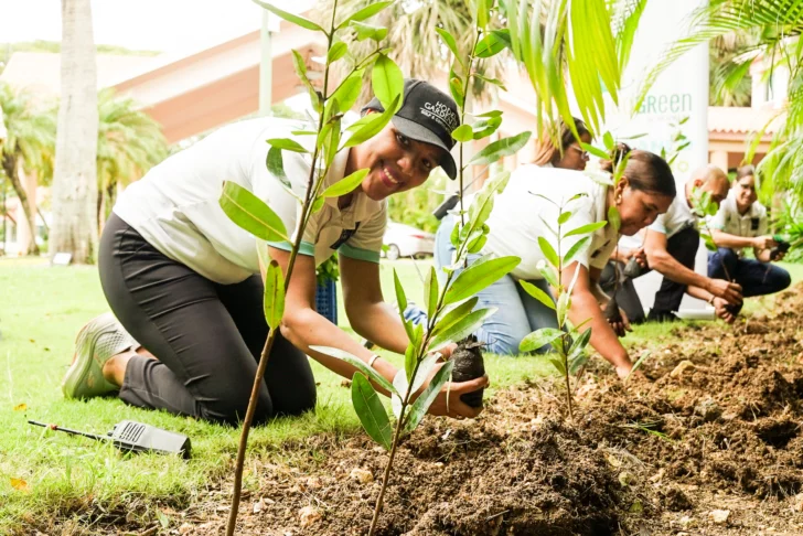 Hodelpa Hotels impulsa proyecto de siembra para la protección de la flora dominicana