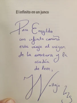 Irene Vallejo: su fascinación por las palabras, los libros y la lectura