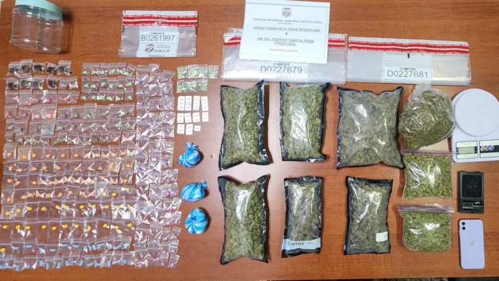 Incautan cientos de gramos de distintos narcóticos en Santiago