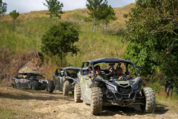 Jefe del Ejército niega incursión de bandas haitianas para delinquir en la frontera dominicana