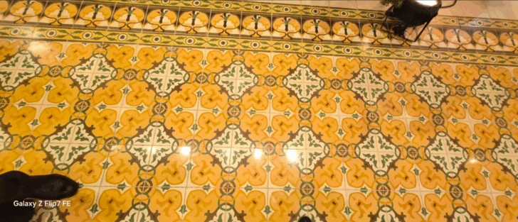  Mosaicos originales del primer piso del Hotel Mercedes.