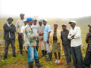 Donde crecen los silencios: testimonio de la reforestación transfronteriza (1 de 2) Donde crecen los silencios: testimonio de la reforestación transfronteriza (1 de 2)